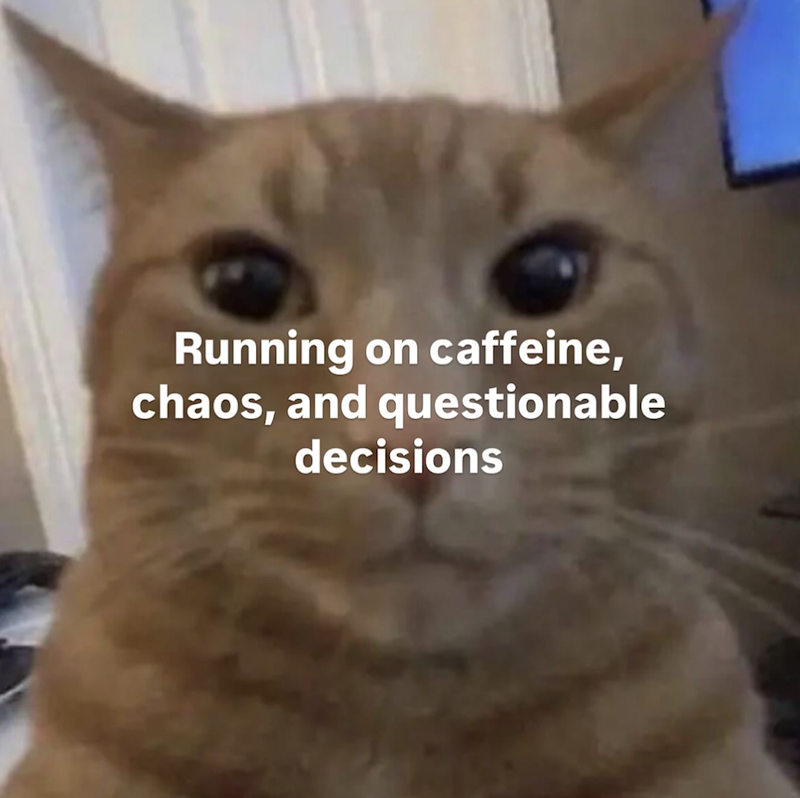 Running on caffeine, chaos, and questionable decisions
