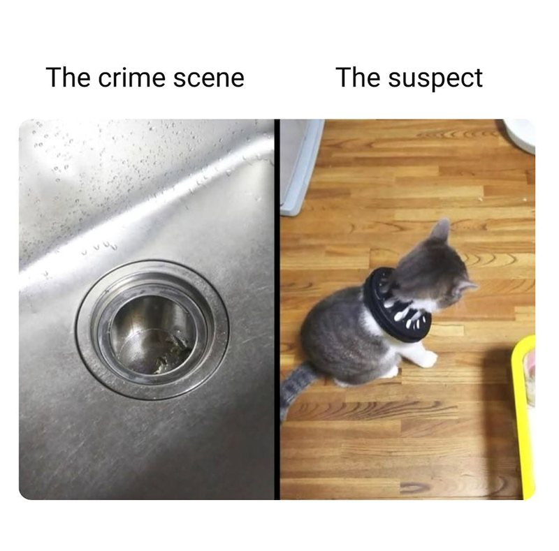 The crime scene The suspect