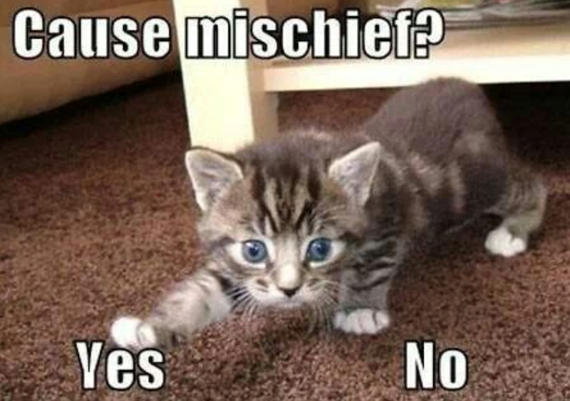 Cause mischief? Yes No