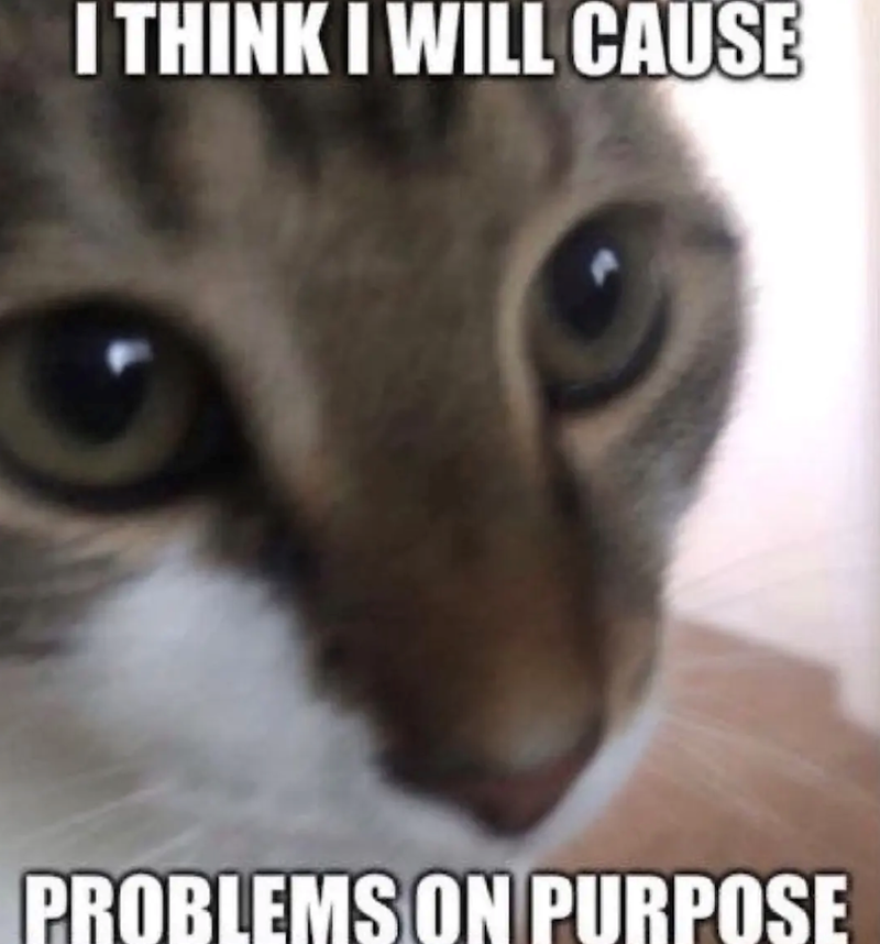 I THINK I WILL CAUSE PROBLEMS ON PURPOSE