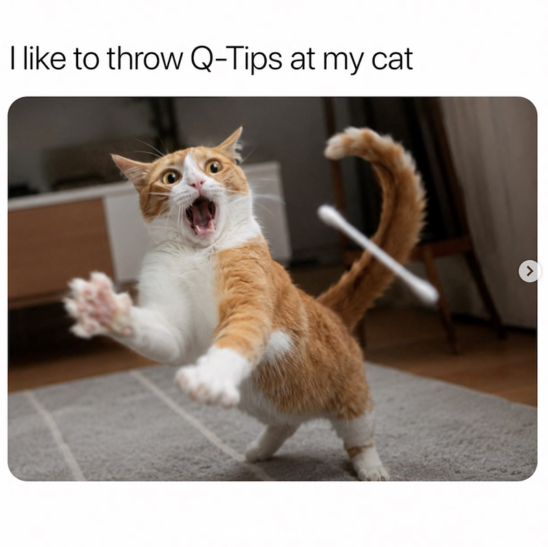 I like to throw Q-Tips at my cat
