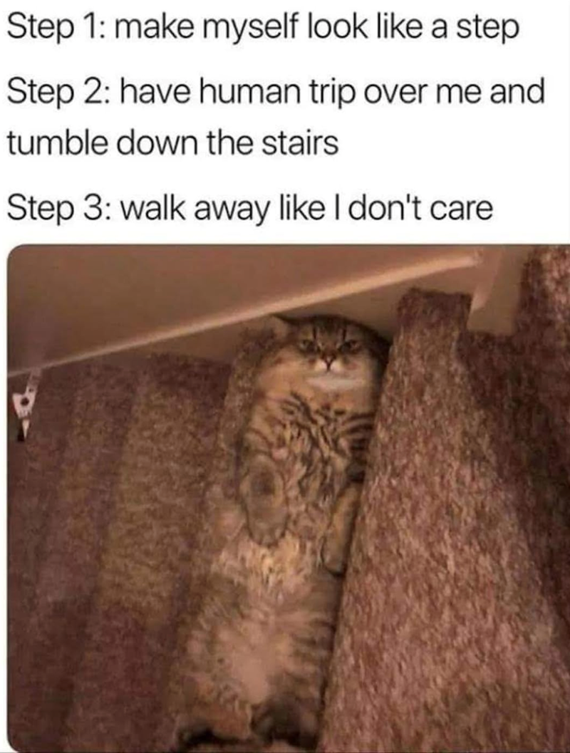 Step 1: make myself look like a step Step 2: have human trip over me and tumble down the stairs Step 3: walk away like I don't care