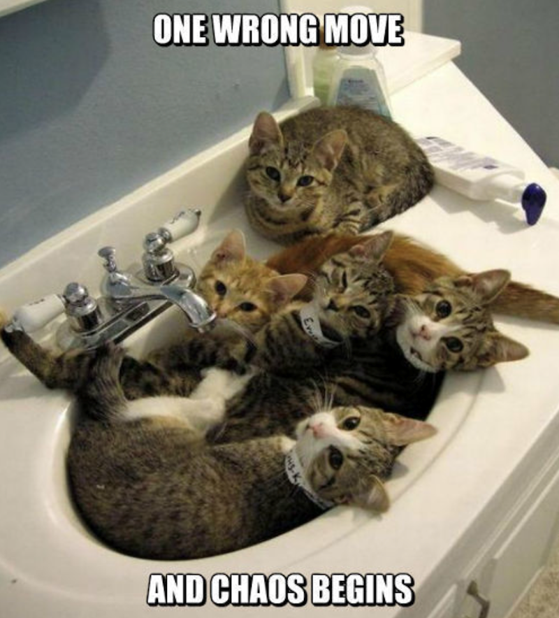 ONE WRONG MOVE AND CHAOS BEGINS