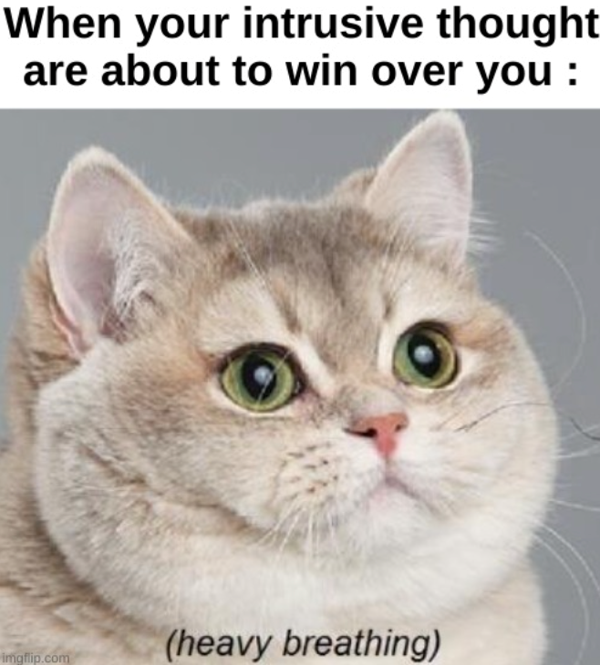 When your intrusive thought are about to win over you : imgflip.com (heavy breathing)