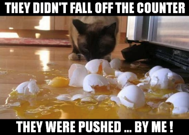 THEY DIDN'T FALL OFF THE COUNTER THEY WERE PUSHED ... BY ME!