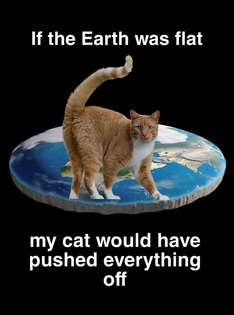 If the Earth was flat my cat would have pushed everything off
