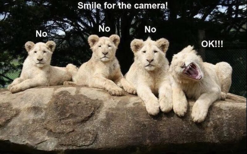 No Smile for the camera! No No OK!!!