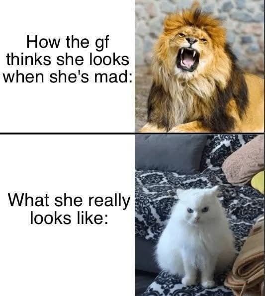 How the gf thinks she looks when she's mad: What she really looks like: