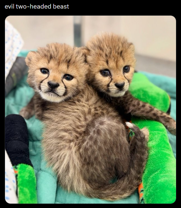 evil two-headed beast