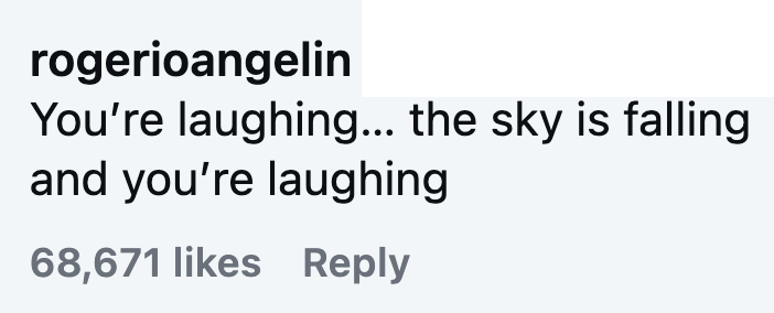rogerioangelin You're laughing... the sky is falling and you're laughing 68,671 likes Reply