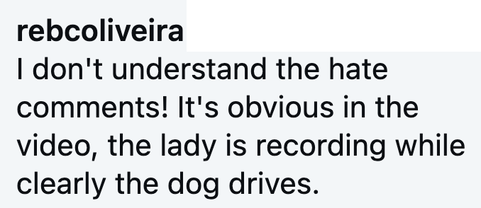 rebcoliveira I don't understand the hate comments! It's obvious in the video, the lady is recording while clearly the dog drives.