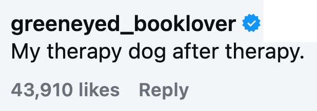 greeneyed_booklover My therapy dog after therapy. 43,910 likes Reply