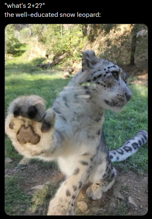 "what's 2+2?" the well-educated snow leopard: