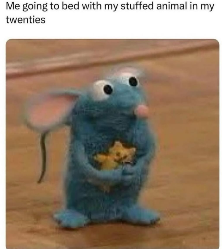 Me going to bed with my stuffed animal in my twenties