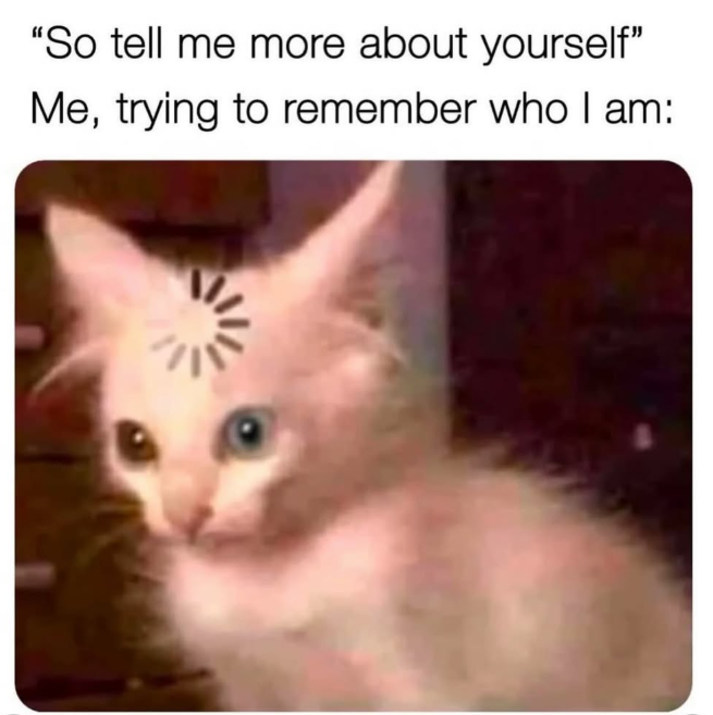 "So tell me more about yourself" Me, trying to remember who I am: