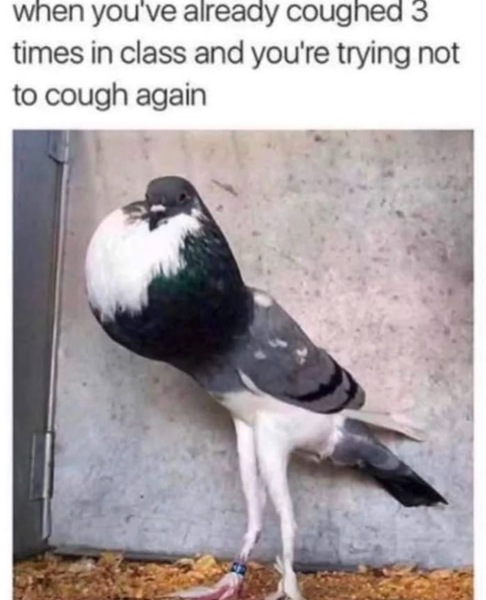 when you've already coughed 3 times in class and you're trying not to cough again