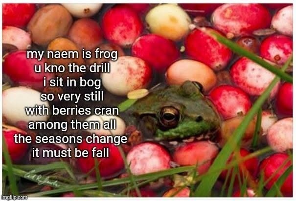 my naem is frog u kno the drill i sit in bog so very still with berries cran among them all the seasons change it must be fall imgflip.com