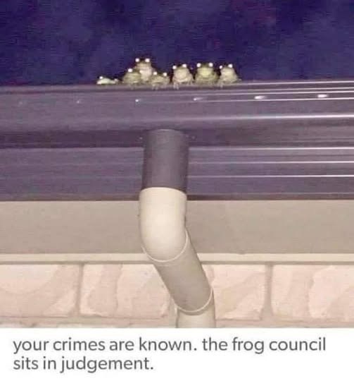 your crimes are known. the frog council sits in judgement.