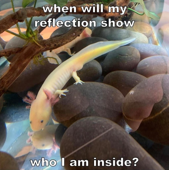 when will my reflection show who I am inside?