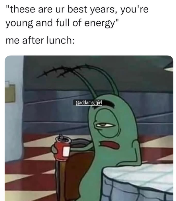 "these are ur best years, you're young and full of energy" me after lunch: Gaddams_girl