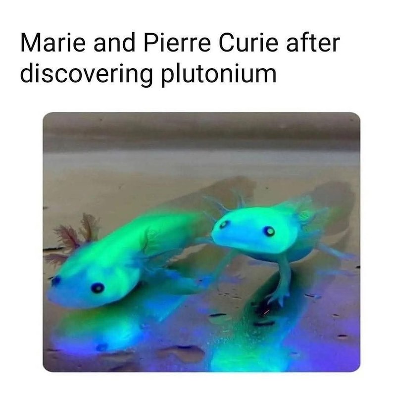 Marie and Pierre Curie after discovering plutonium