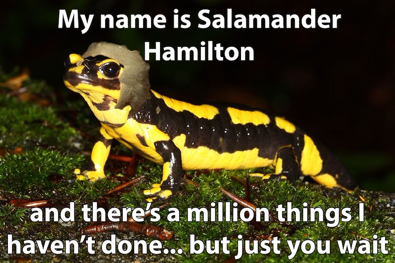My name is Salamander Hamilton and there's a million things I haven't done... but just you wait