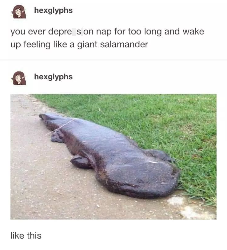 hexglyphs you ever depre son nap for too long and wake up feeling like a giant salamander hexglyphs like this