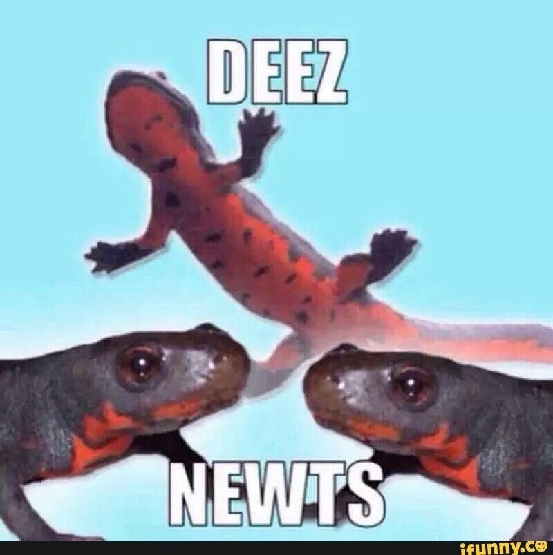 DEEZ NEWTS ifunny.co