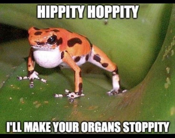 HIPPITY HOPPITY I'LL MAKE YOUR ORGANS STOPPITY
