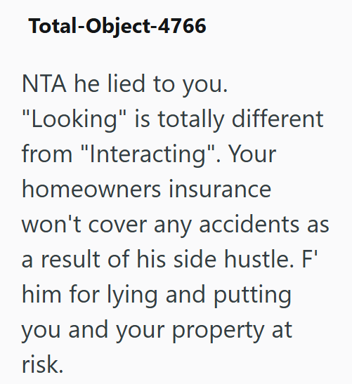 Total-Object-4766 NTA he lied to you. "Looking" is totally different from "Interacting". Your homeowners insurance won't cover any accidents as a result of his side hustle. F' him for lying and putting you and your property at risk.