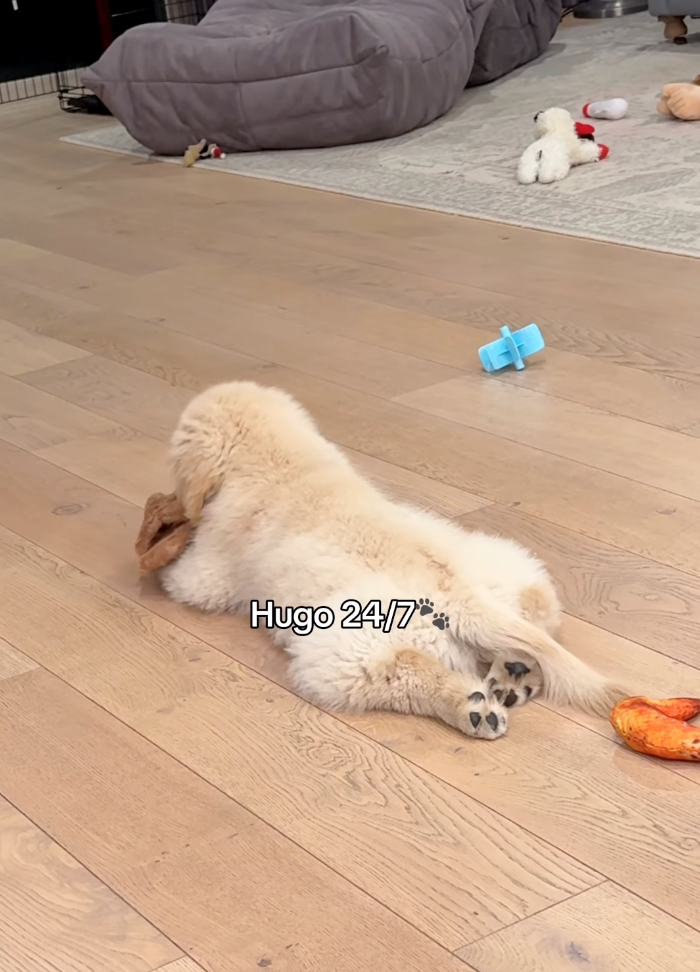 Hugo 24/7**