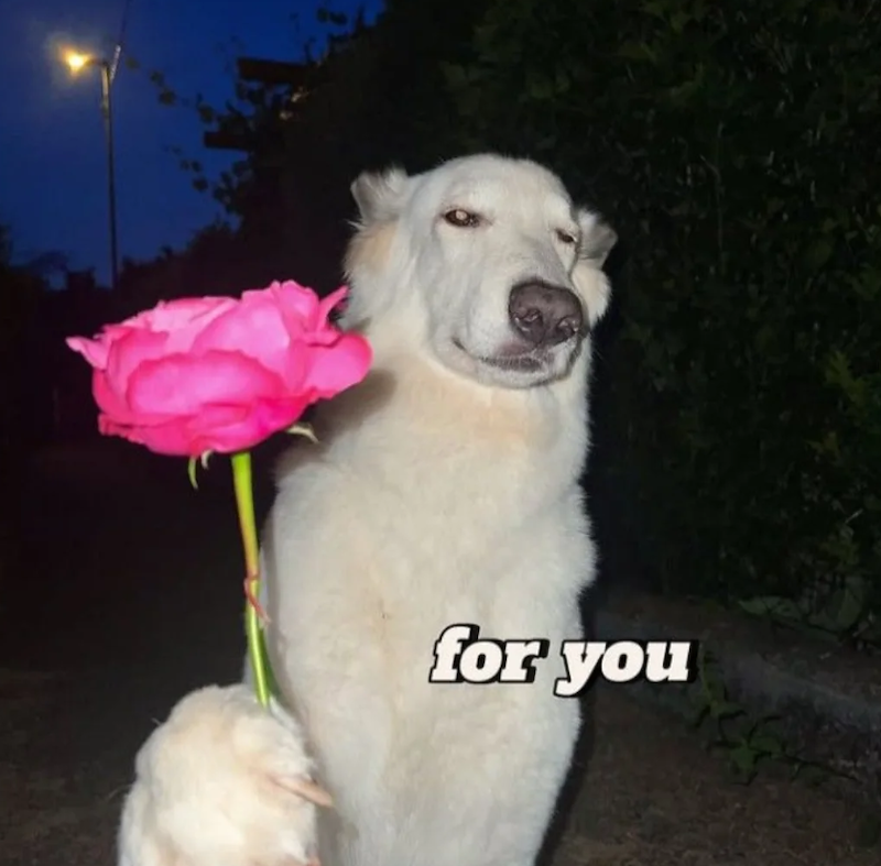 for you