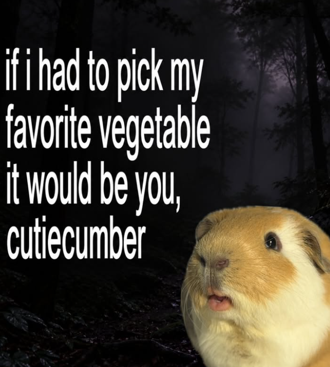 if i had to pick my favorite vegetable it would be you, cutiecumber
