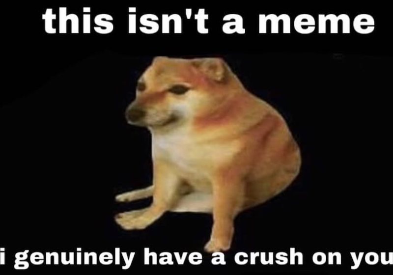 this isn't a meme i genuinely have a crush on you