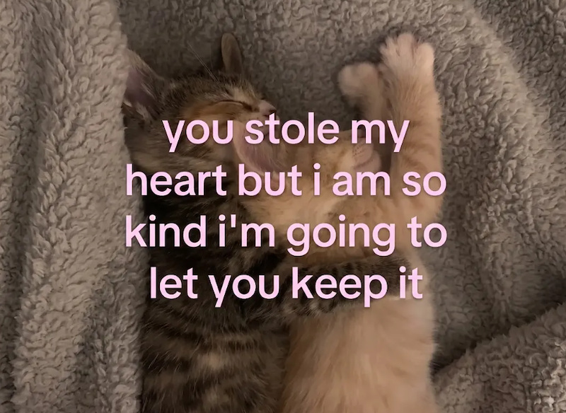 you stole my heart but i am so kind i'm going to let you keep it