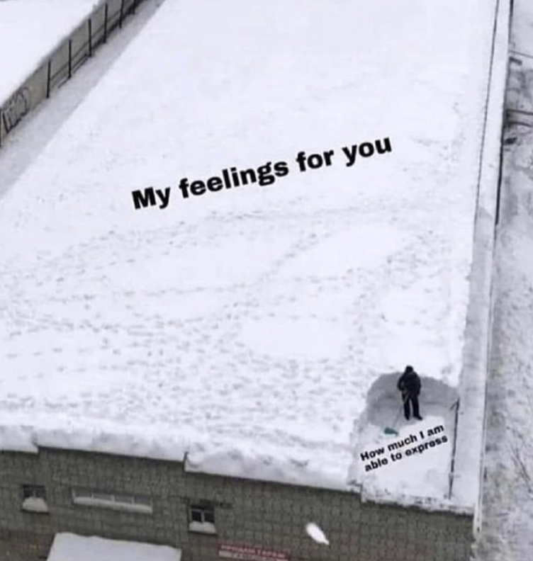 My feelings for you How much I am able to express