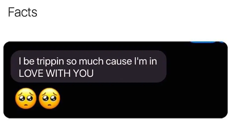 Facts I be trippin so much cause I'm in LOVE WITH YOU