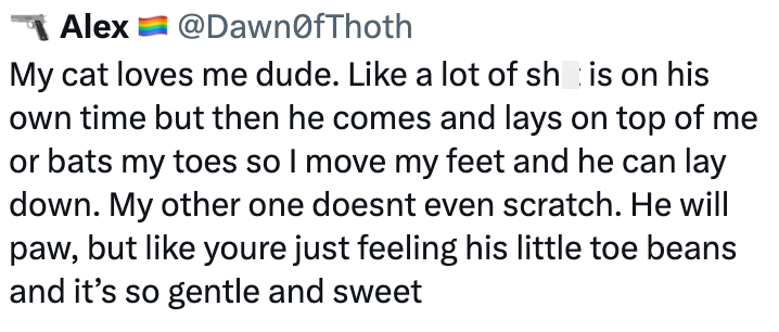Alex @DawnOfThoth My cat loves me dude. Like a lot of sh is on his own time but then he comes and lays on top of me or bats my toes so I move my feet and he can lay down. My other one doesnt even scratch. He will paw, but like youre just feeling his little toe beans and it's so gentle and sweet