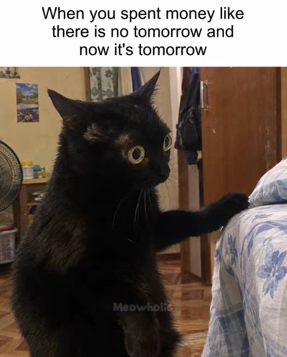 When you spent money like there is no tomorrow and now it's tomorrow Ο Meowholic