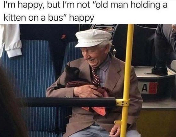 I'm happy, but I'm not "old man holding a kitten on a bus" happy A