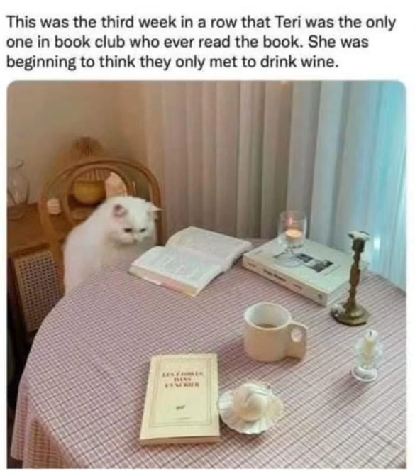 This was the third week in a row that Teri was the only one in book club who ever read the book. She was beginning to think they only met to drink wine.
