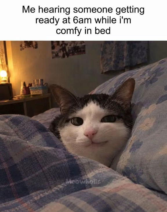 Me hearing someone getting ready at 6am while i'm comfy in bed Meowholic