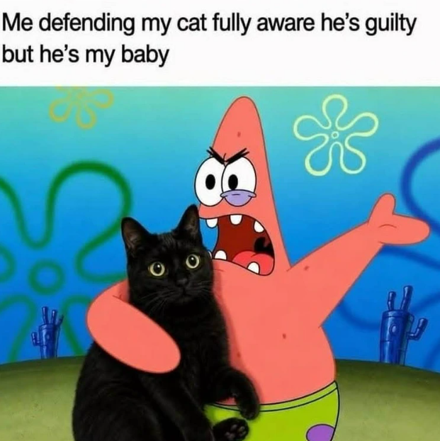 Me defending my cat fully aware he's guilty but he's my baby