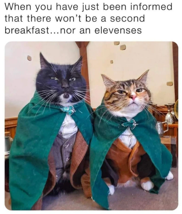 When you have just been informed that there won't be a second breakfast... nor an elevenses