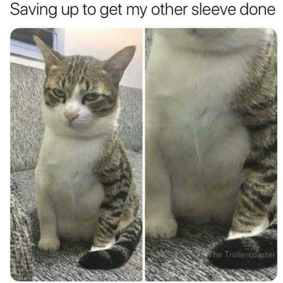 Saving up to get my other sleeve done The Trollercoaster