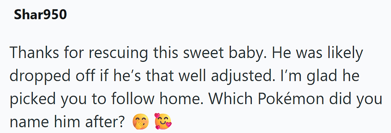 Shar950 Thanks for rescuing this sweet baby. He was likely dropped off if he's that well adjusted. I'm glad he picked you to follow home. Which Pokémon did you name him after?