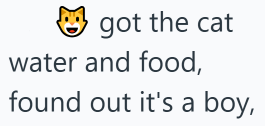 got the cat water and food, found out it's a boy,