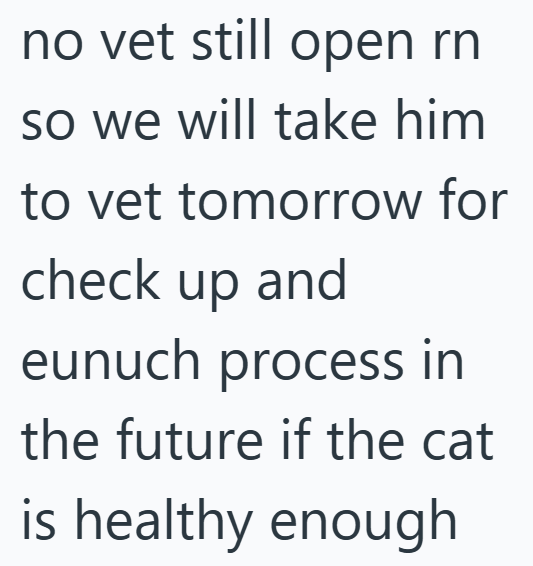 no vet still open rn so we will take him to vet tomorrow for check up and eunuch process in the future if the cat is healthy enough