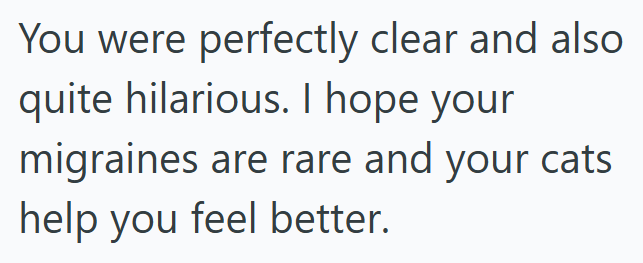 You were perfectly clear and also quite hilarious. I hope your migraines are rare and your cats help you feel better.