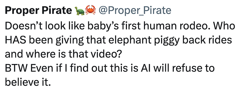 Proper Pirate @Proper_Pirate Doesn't look like baby's first human rodeo. Who HAS been giving that elephant piggy back rides and where is that video? BTW Even if I find out this is Al will refuse to believe it.